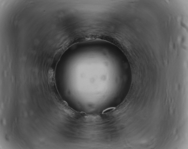 X0000091190480200708231513