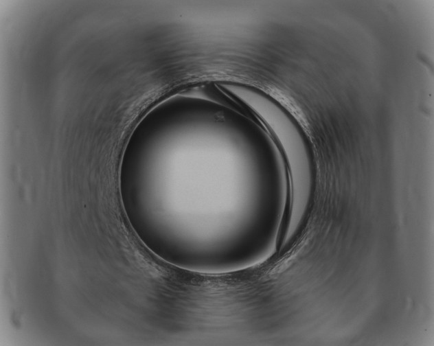 X0000091190481200708231512