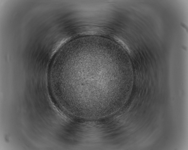 X0000091190482200708231512