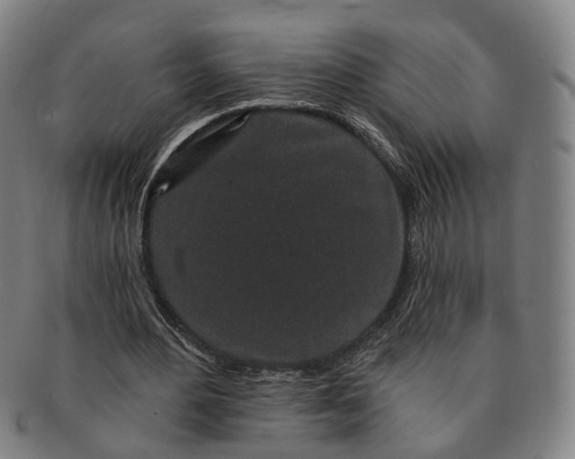 X0000091190484200708231512