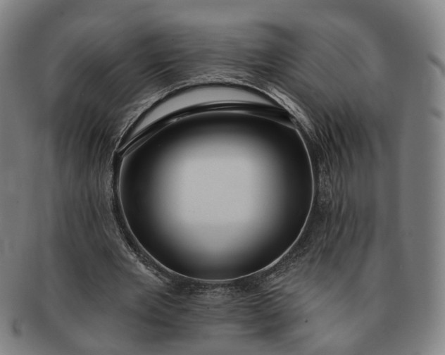 X0000091190485200708231512