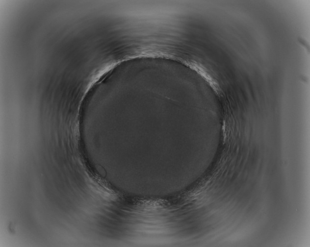 X0000091190488200708231512