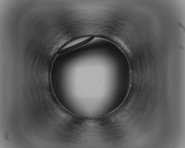 X0000091190489200708231512