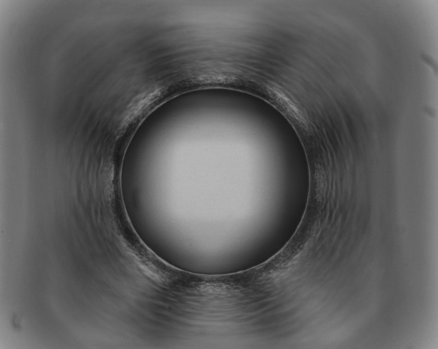 X0000091190490200708231512