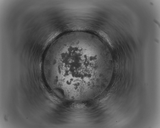 X0000091190491200708231512