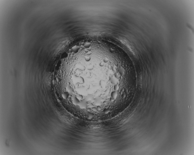 X0000091190495200708231512