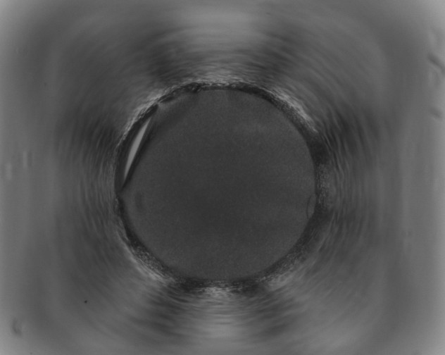 X0000091190496200708231512