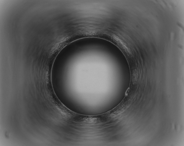 X0000091190497200708231512