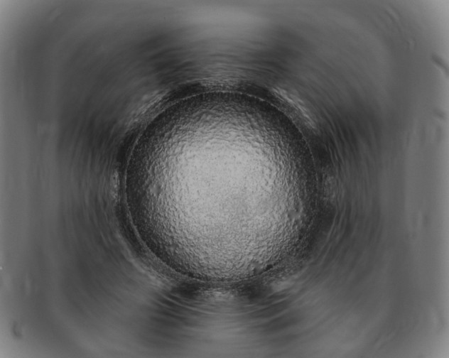 X0000091190498200708231512