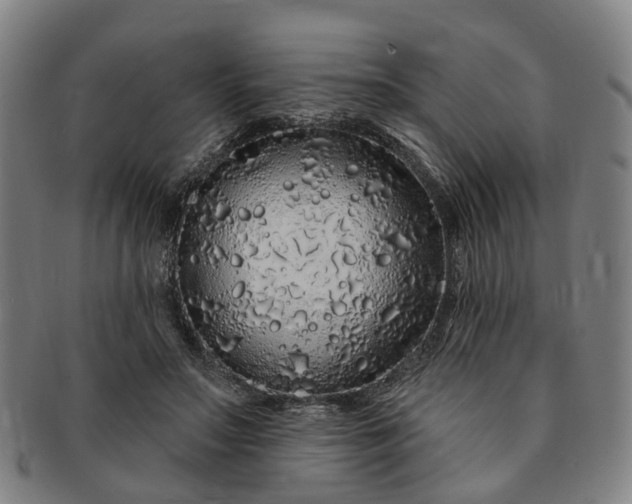 X0000091190499200708231512