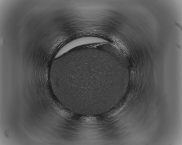 X0000091190501200708231512