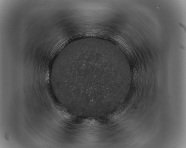 X0000091190502200708231512