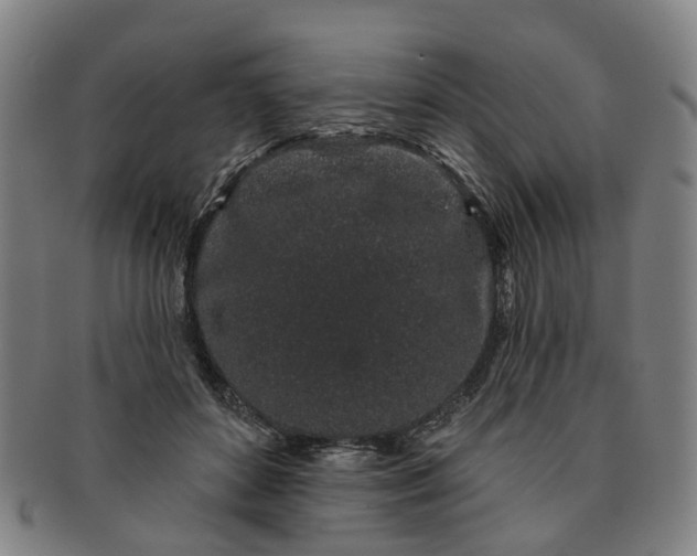 X0000091190504200708231512