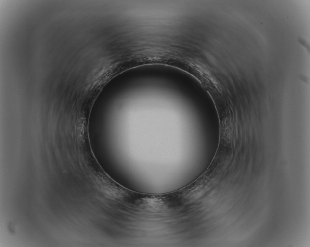 X0000091190509200708231511