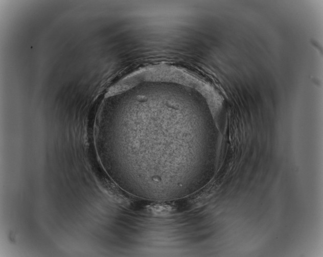 X0000091190512200708231511