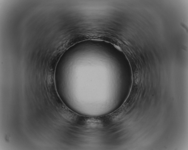 X0000091190515200708231511