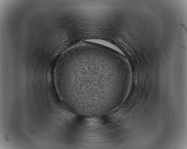 X0000091190516200708231511