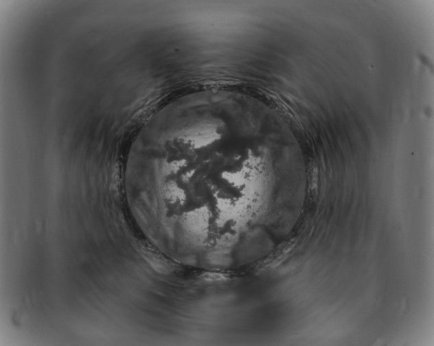 X0000091190519200708231511