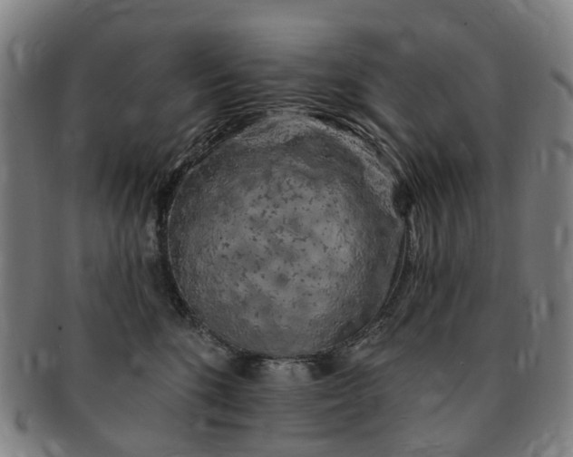 X0000091190520200708231511