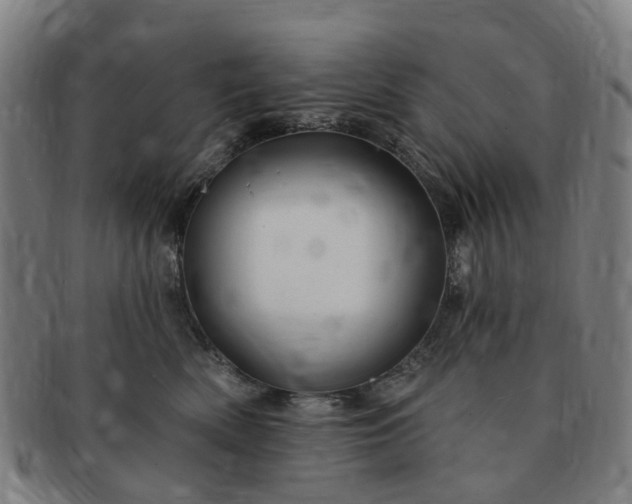 X0000091190522200708231511