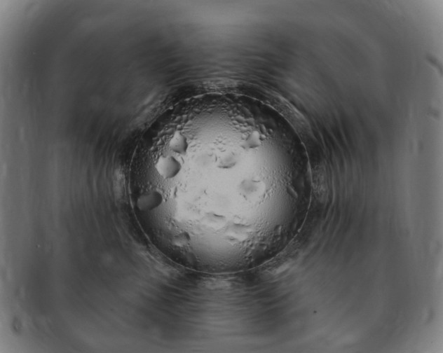 X0000091190523200708231511