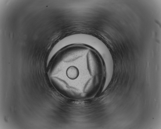 X0000091190524200708231511