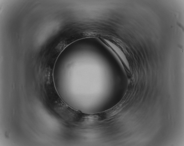 X0000091190525200708231511