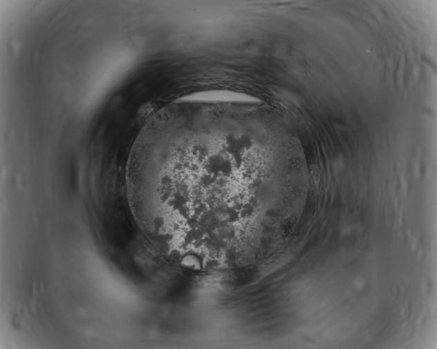 X0000091190527200708231511