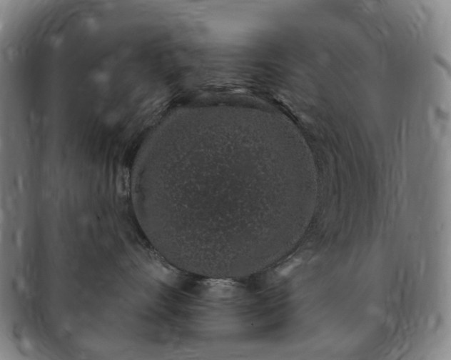 X0000091190528200708231511