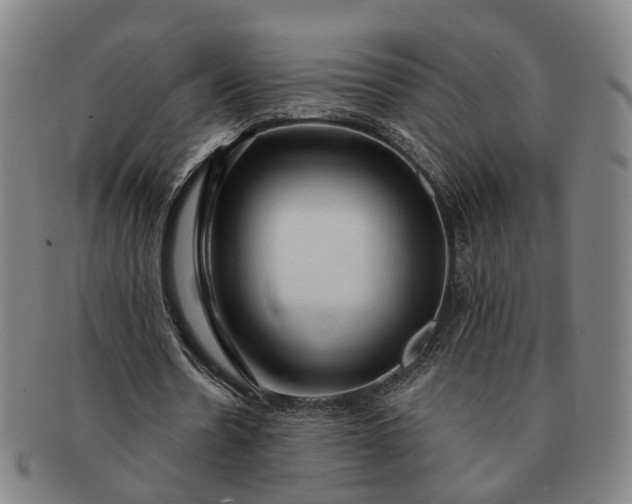 X0000091190530200708231511