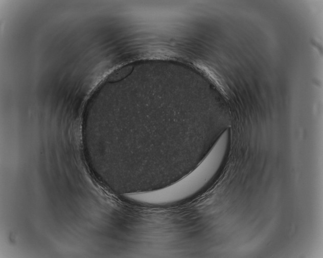 X0000091190531200708231511