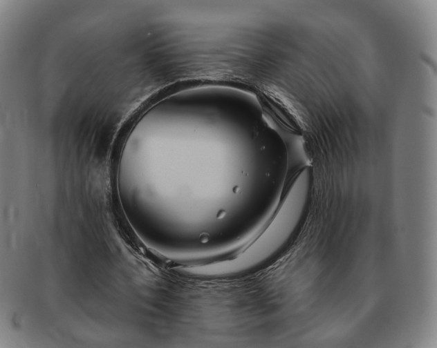 X0000091190532200708231511