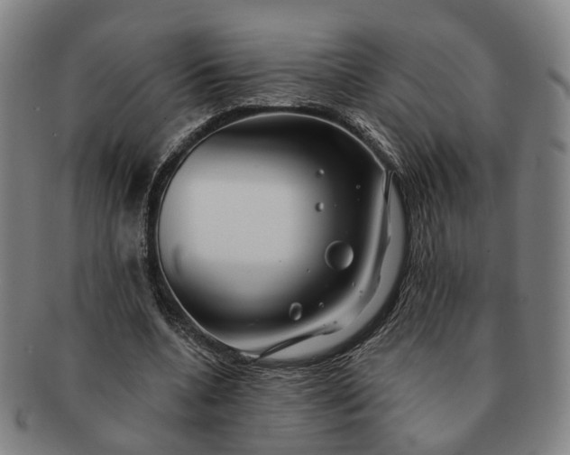 X0000091190536200708231511