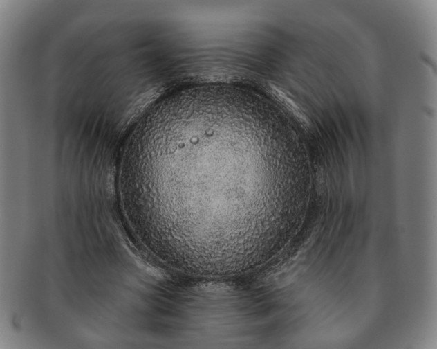 X0000091190537200708231511