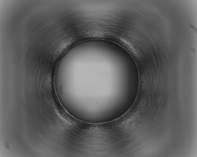 X0000091190538200708231511