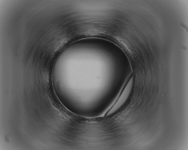 X0000091190539200708231511