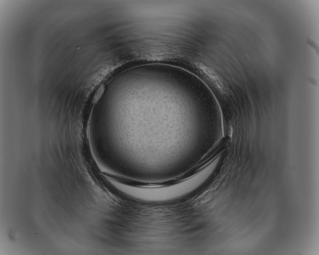 X0000091190540200708231511