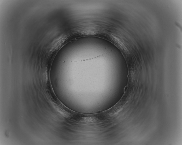 X0000091190541200708231511