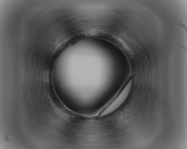 X0000091190543200708231511