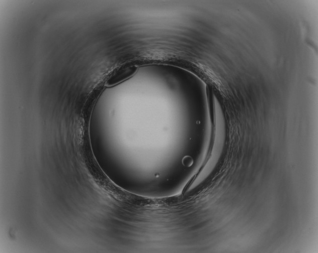 X0000091190544200708231511