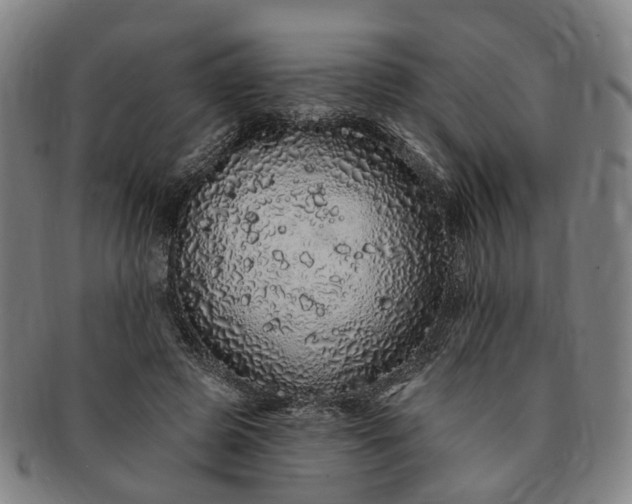 X0000091190545200708231511