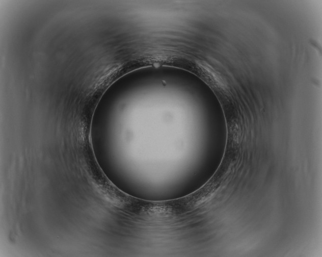 X0000091190546200708231511