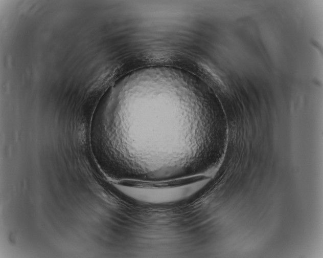 X0000091190549200708231511