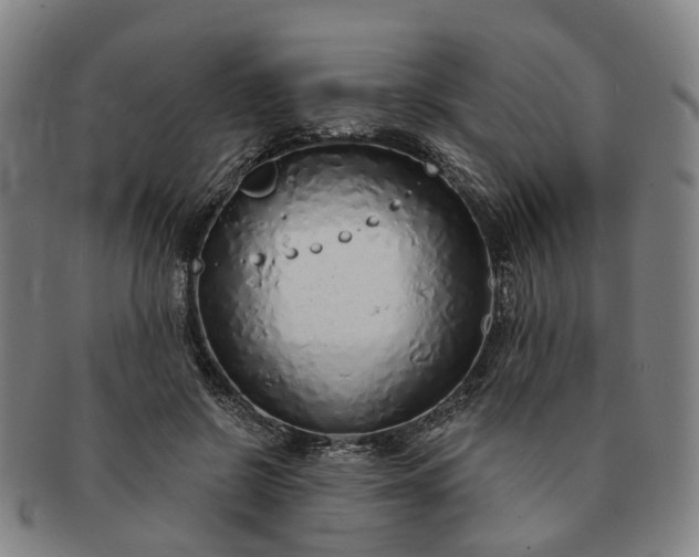 X0000091190550200708231511