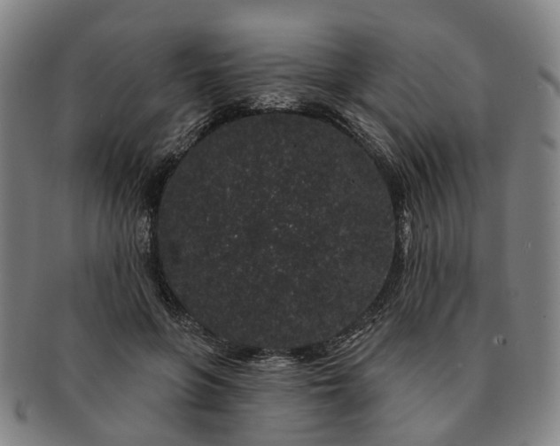 X0000091190551200708231511