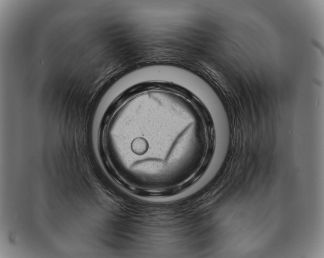 X0000091190552200708231511