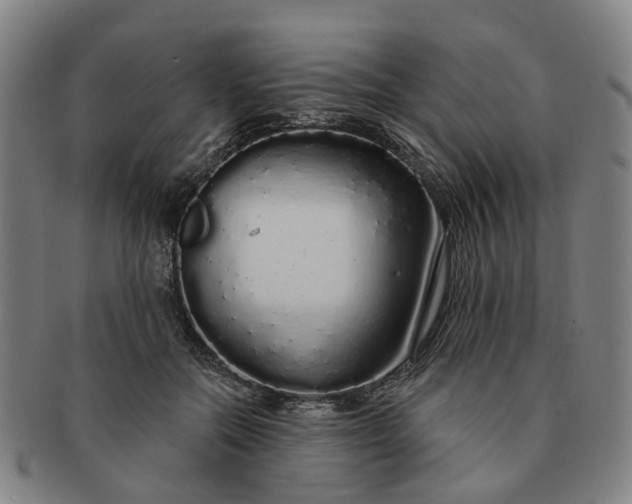 X0000091190554200708231511