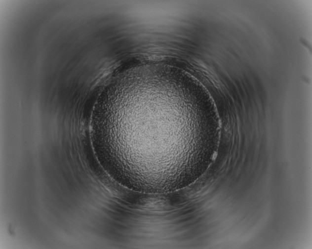 X0000091190555200708231511