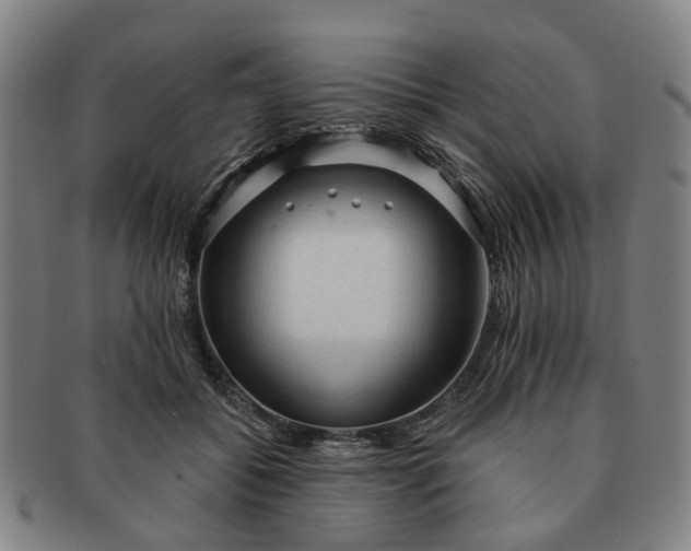 X0000091190556200708231511