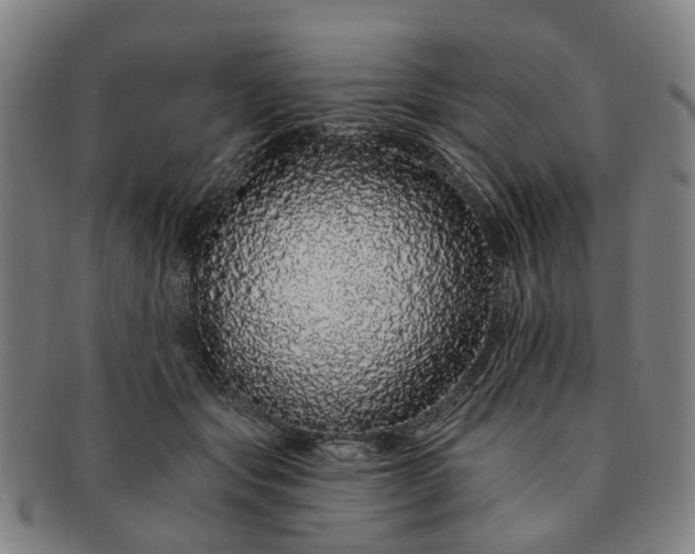 X0000091190557200708231511